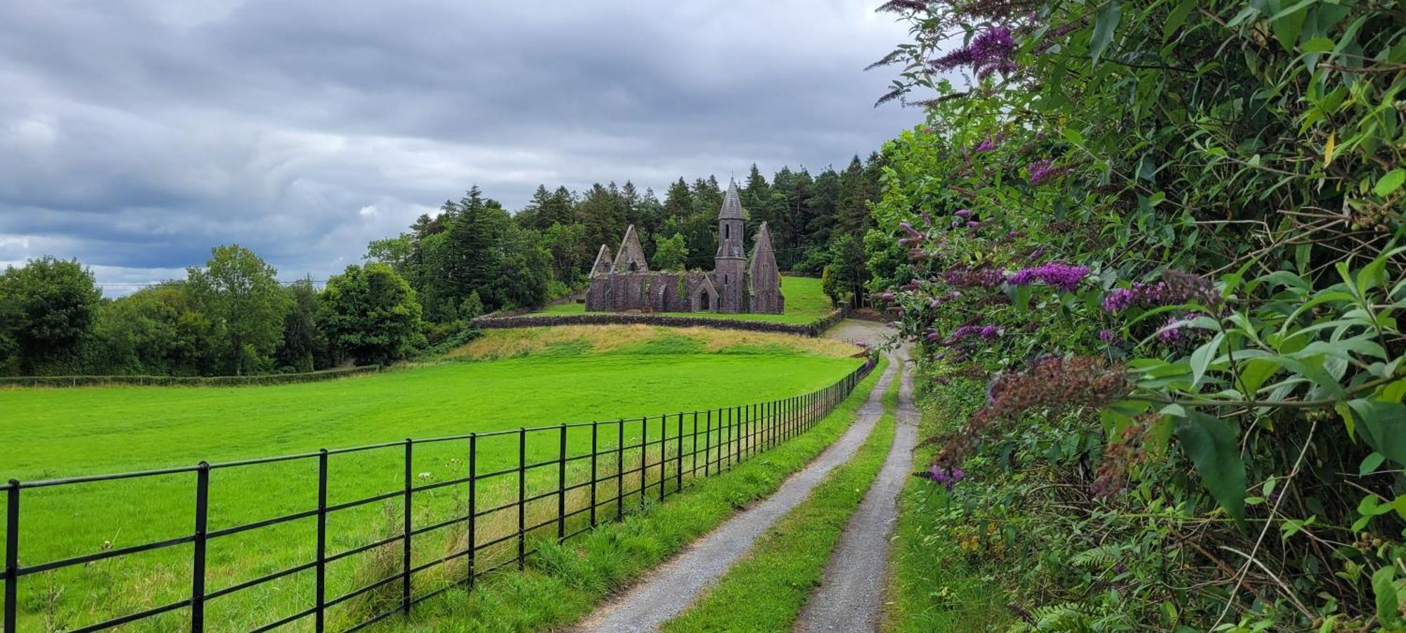 Reed Warbler Cottage Ballinrobe Εξωτερικό φωτογραφία